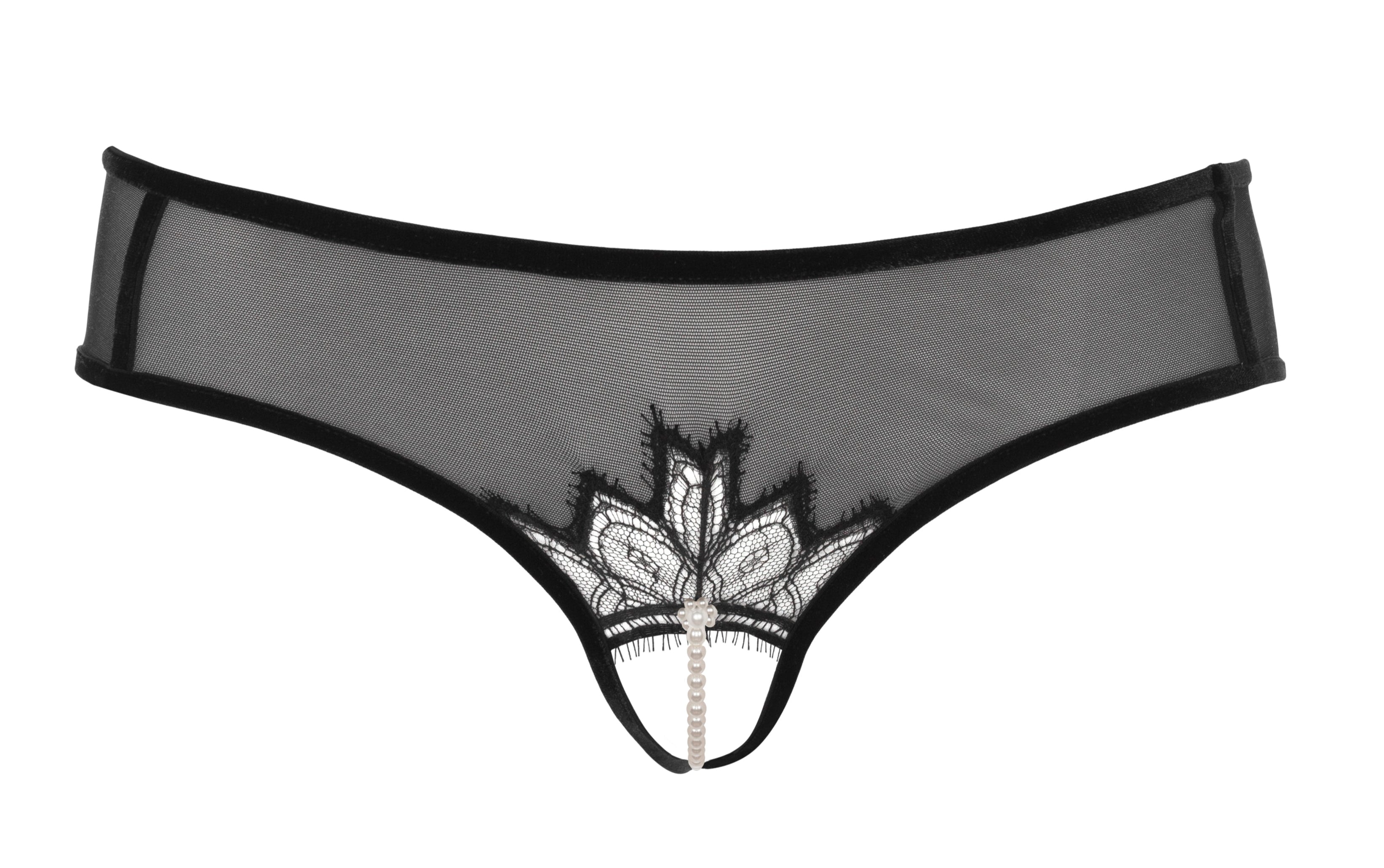 Kyoto Brief