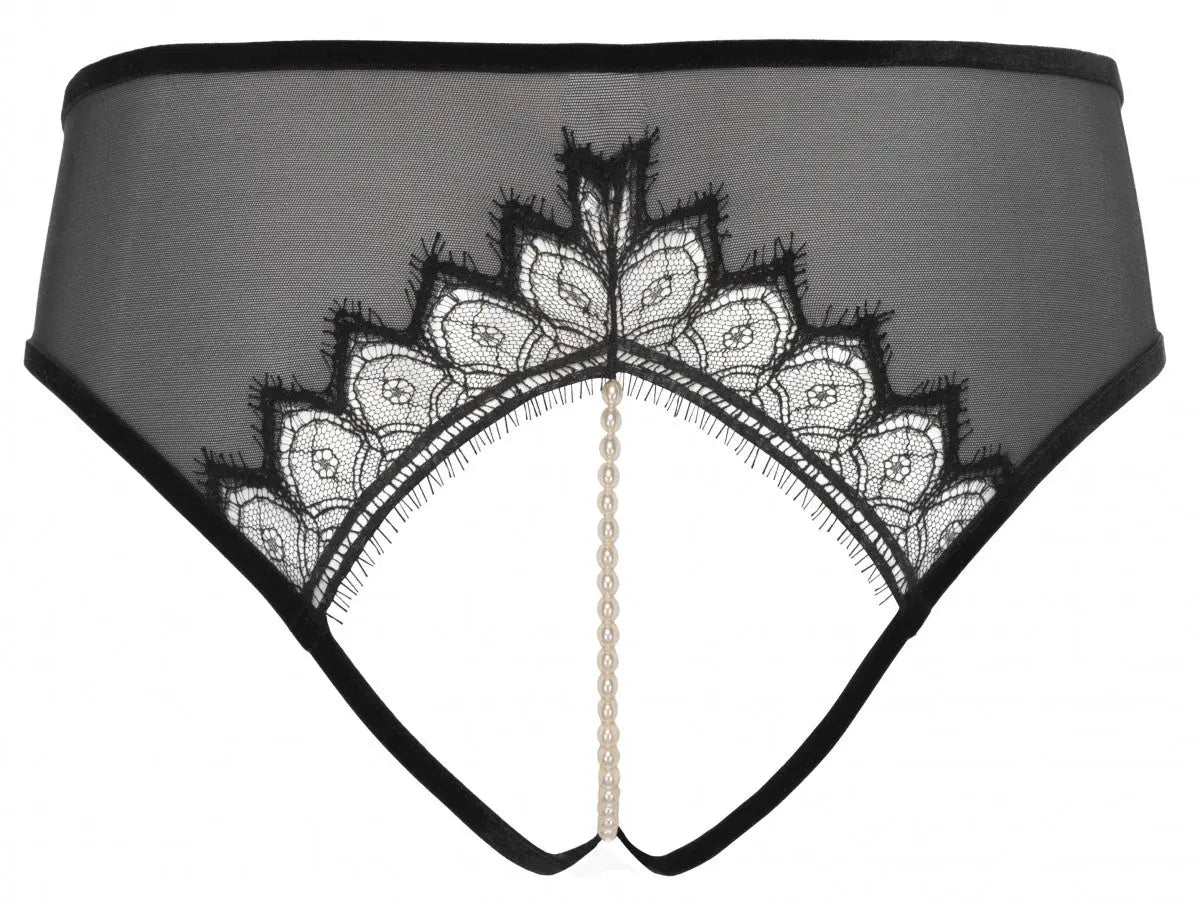 Kyoto Brief - Old Version