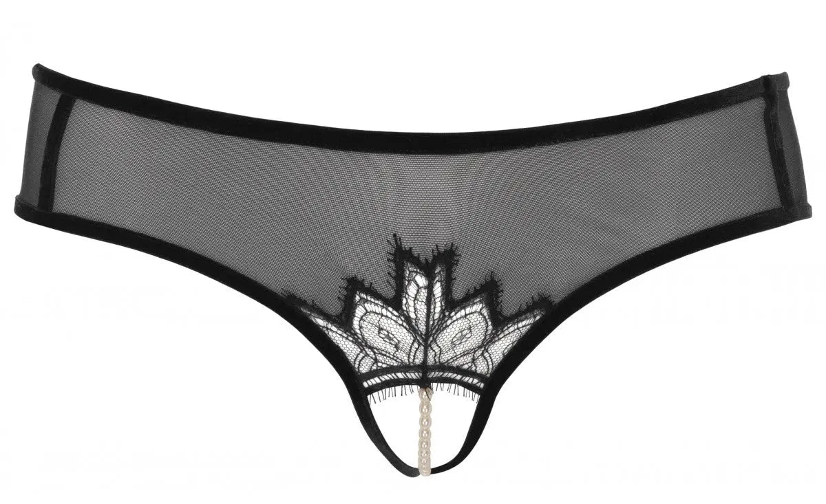 Kyoto Brief - Old Version