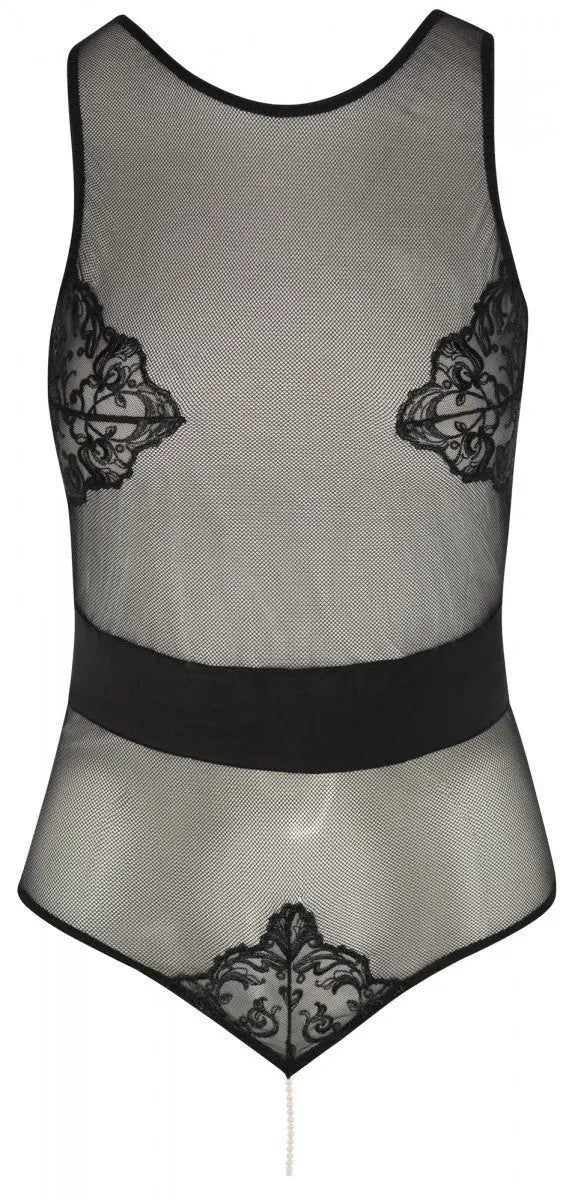 Vienna Body